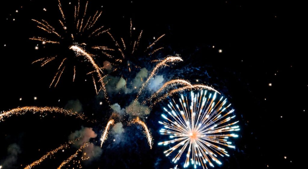 Warszawska Komisja Ochrony Środowiska apeluje o rezygnację z fajerwerków w Sylwestra 2023