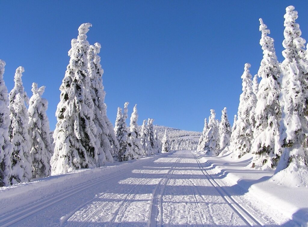Rozpoczynają się ferie zimowe: Akcja "Zima w Mieście" oferuje atrakcje dla dzieci i młodzieży