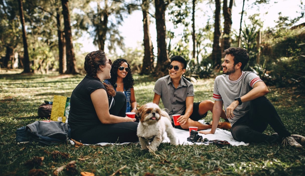Piknik "Wiosna Zdrowia Psychicznego": inspirujące wydarzenie promujące zdrowie i rozwijające umysł i ciało