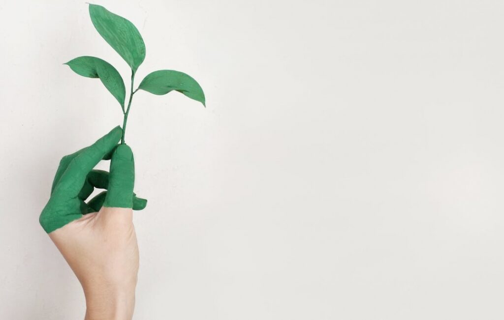 Zagraj w grę "Osiedle z klimatem" i przyczyn się do poprawy jakości powietrza w swojej okolicy