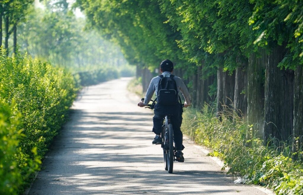 Modernizacja warszawskiego systemu tramwajowego i rozbudowa zajezdni Annopol