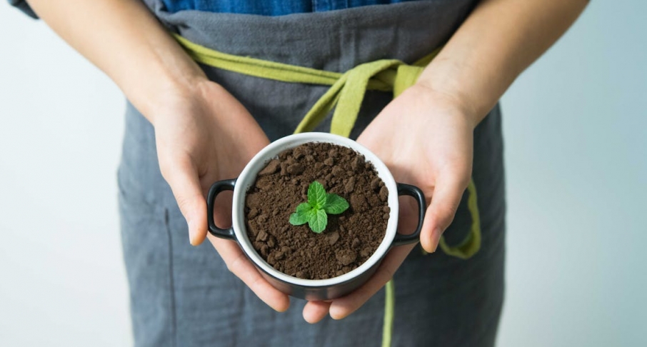 Warszawa pionierskim krokiem inicjuje Fundusz Edukacji Ekologicznej