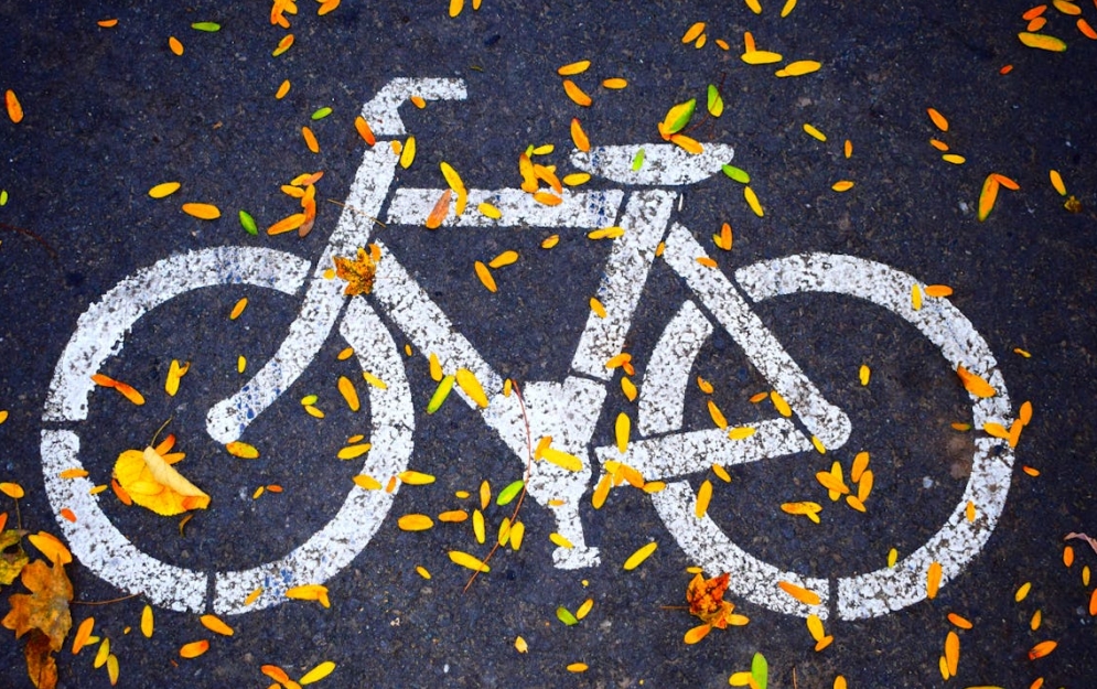 Dzień otwarty Miasteczka Ruchu Drogowego: bezpiecznie na rowerze z Delegaturą Stołecznego Centrum Bezpieczeństwa