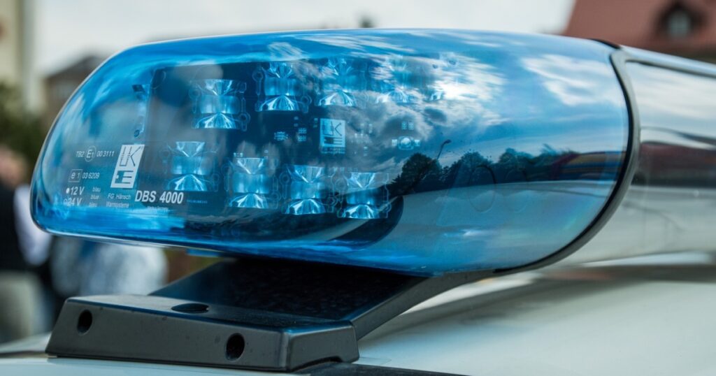 Psy w służbie publicznej: Nieocenieni strażnicy bezpieczeństwa i ich zasłużona emerytura