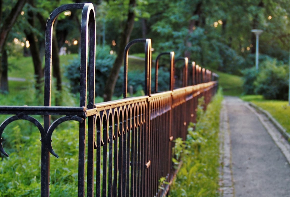 Przemiana miejskiego placu Centralnego: Nadchodzą rośliny i 100 nowych drzew