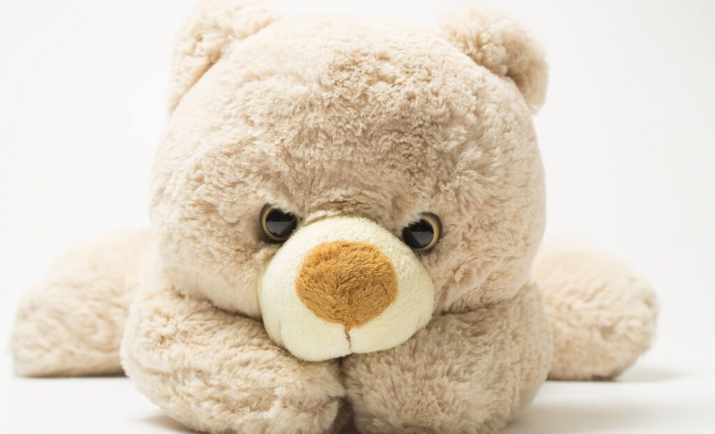 Porozumienie Komendy Stołecznej Policji z Mazowieckim Centrum Polityki Społecznej na rzecz wsparcia ofiar przemocy domowej